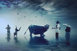 ব্রাজিল বিশ্বকাপ